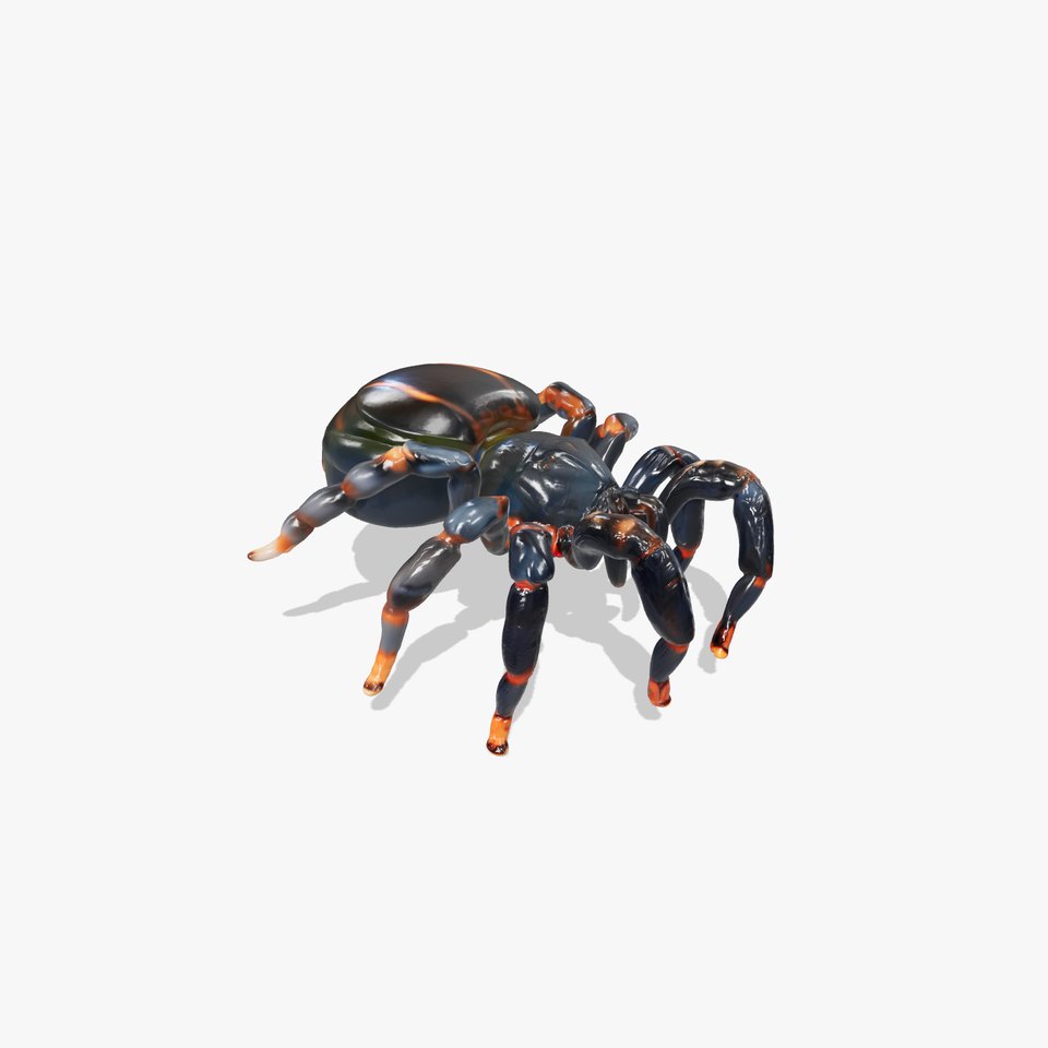 Trapdoor Spider Creature model pack